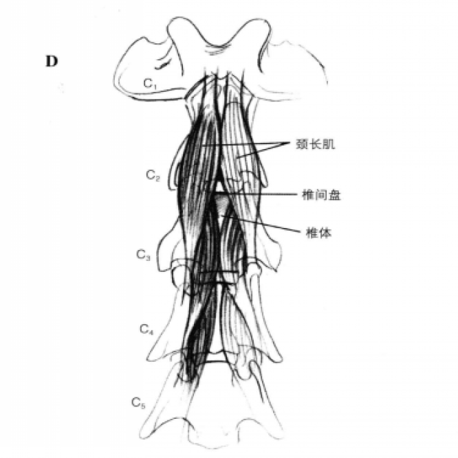 蜜桃成品人视频入口