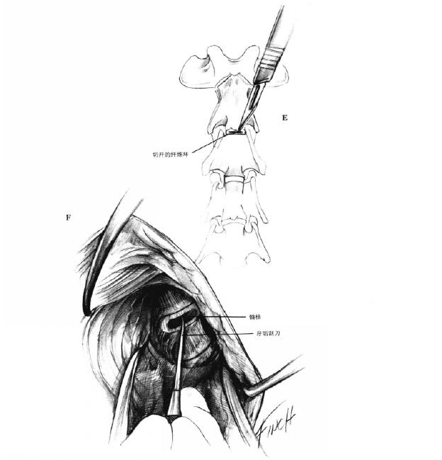 蜜桃成品人视频入口