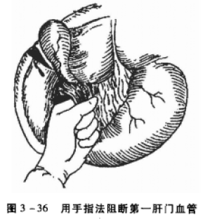 蜜桃成品人视频入口