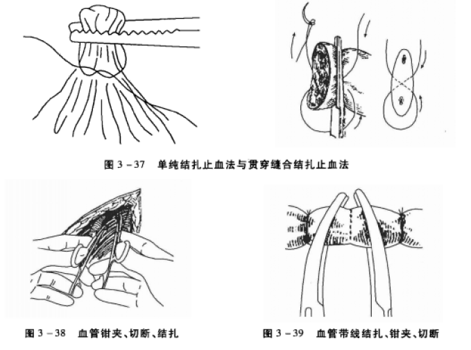 蜜桃成品人视频入口