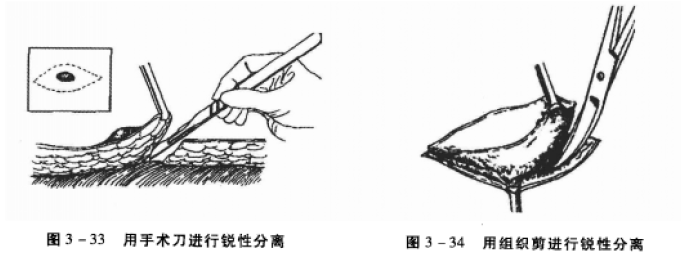 蜜桃成品人视频入口