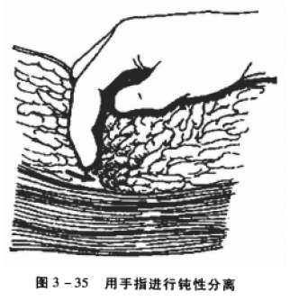 蜜桃成品人视频入口