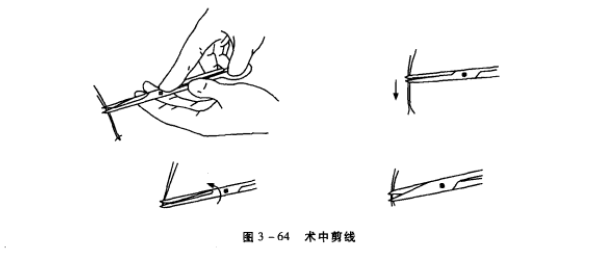蜜桃成品人视频入口