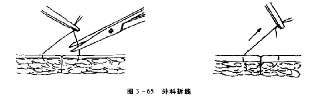 蜜桃成品人视频入口
