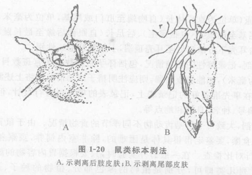 蜜桃成品人视频入口