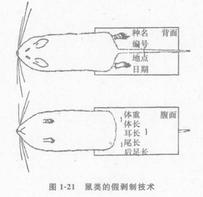 蜜桃成品人视频入口