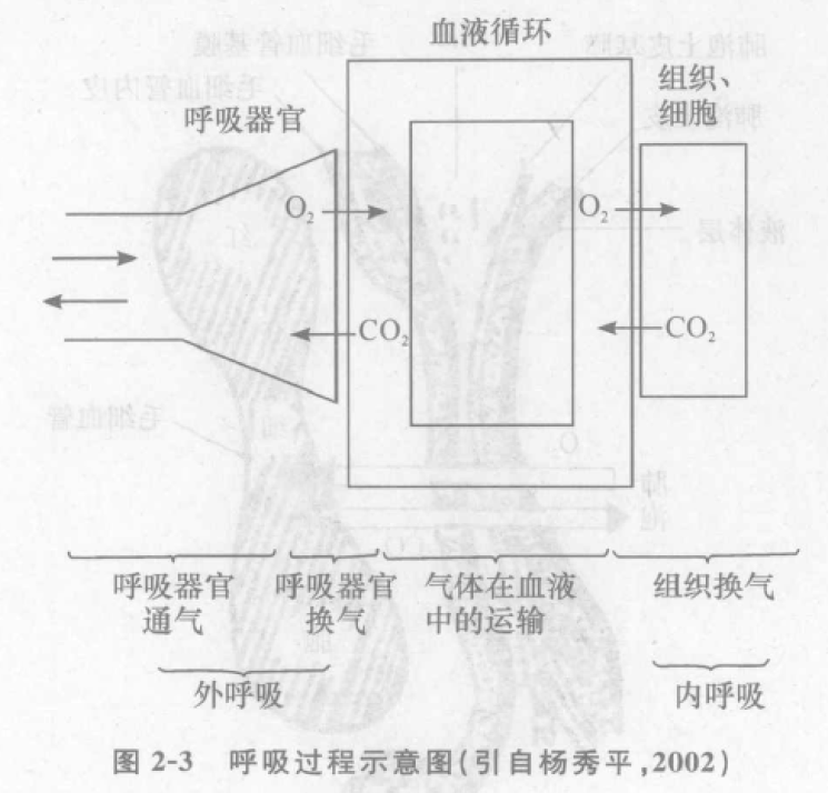 蜜桃成品人视频入口