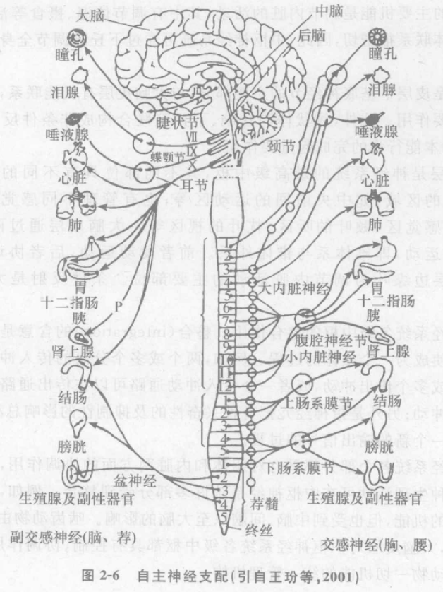 蜜桃成品人视频入口