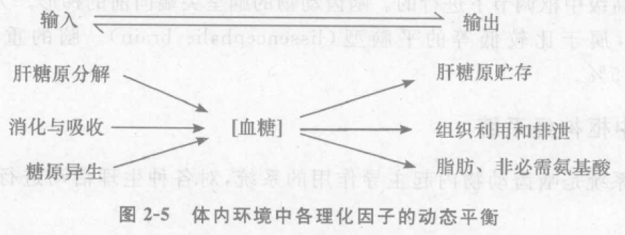 蜜桃成品人视频入口