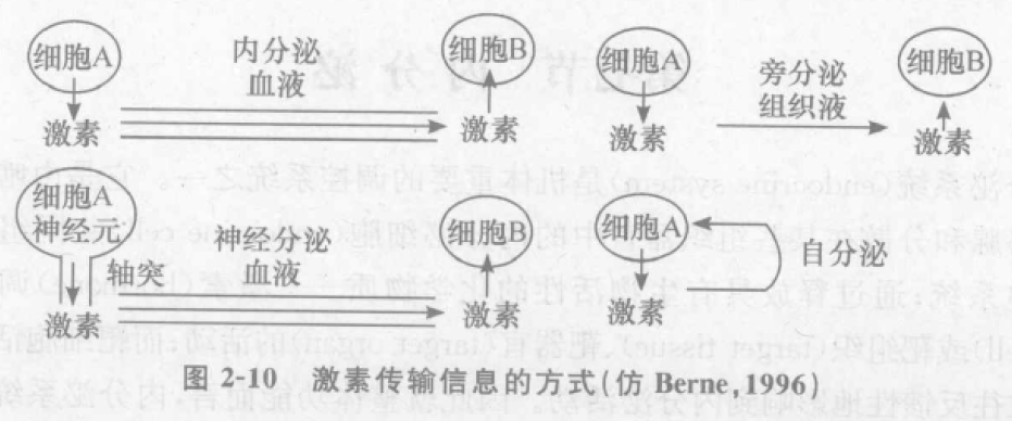 激素传输信息的方方式 蜜桃成品人视频入口