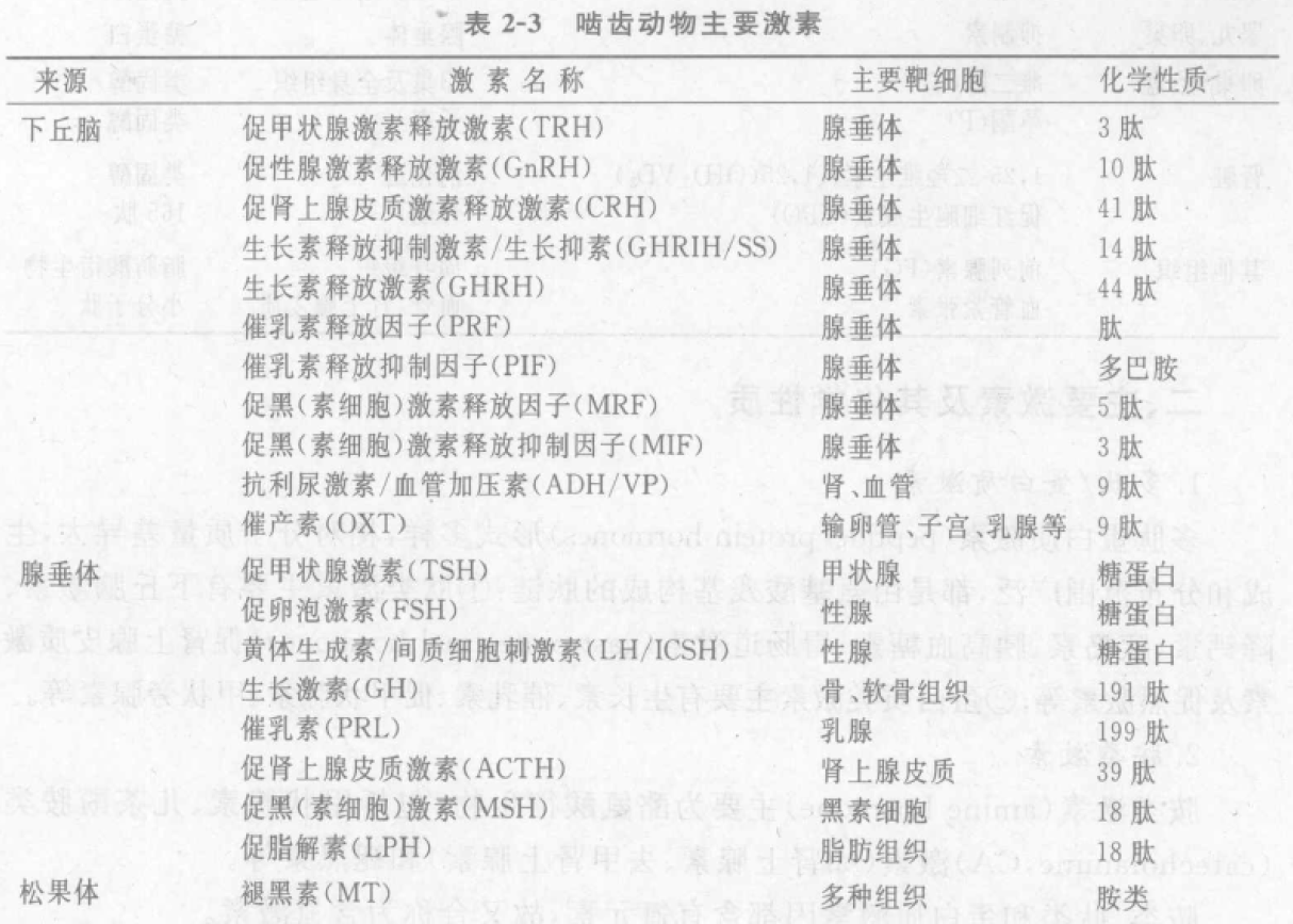 啮齿类动物主要激素 蜜桃成品人视频入口