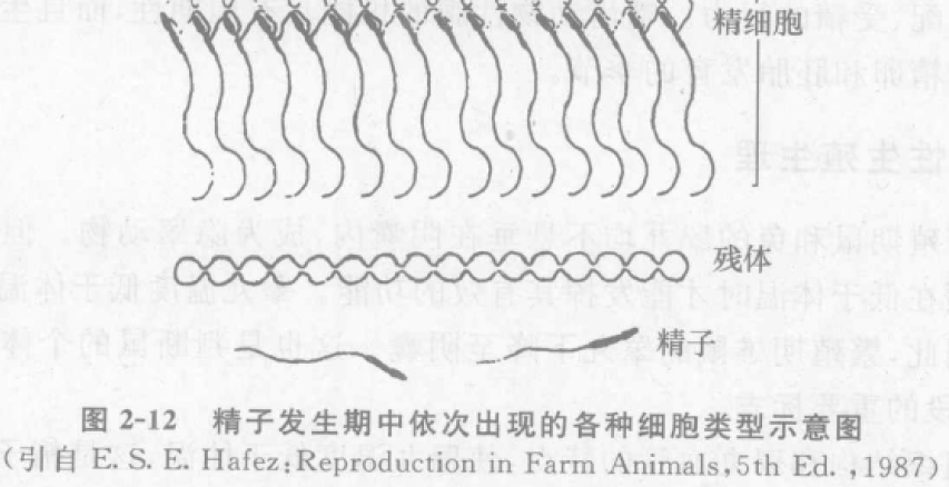 蜜桃成品人视频入口