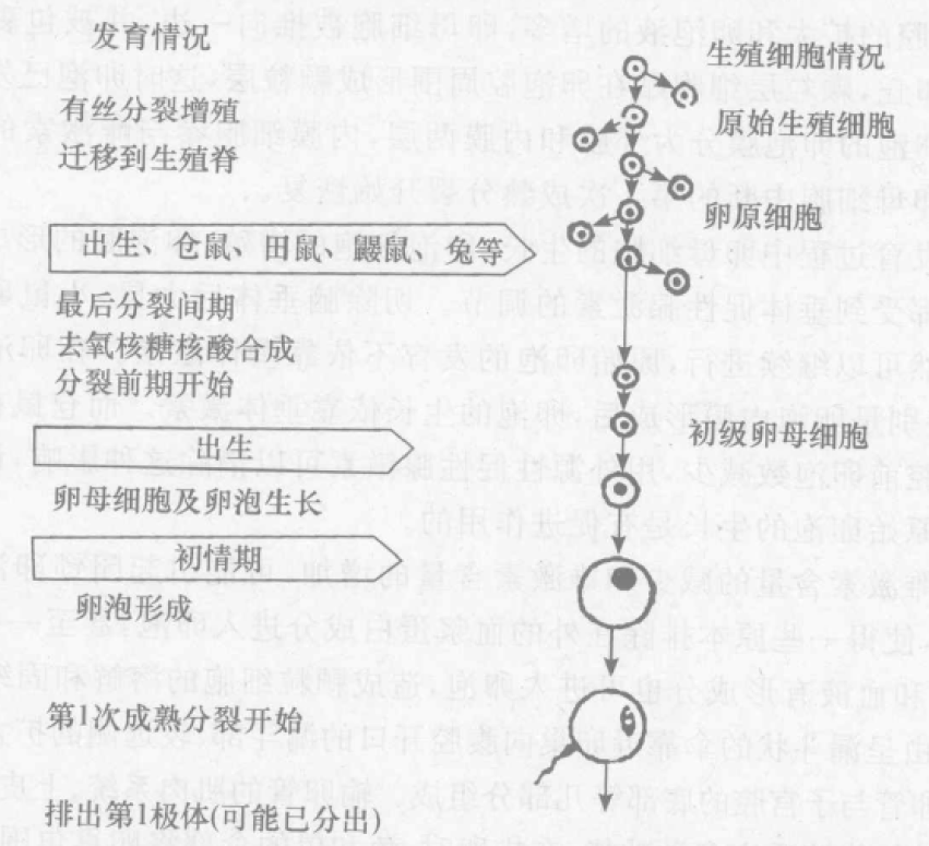 蜜桃成品人视频入口