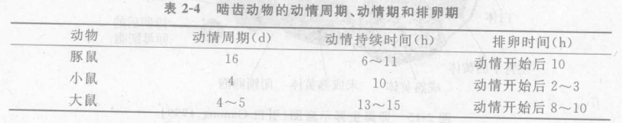 蜜桃成品人视频入口