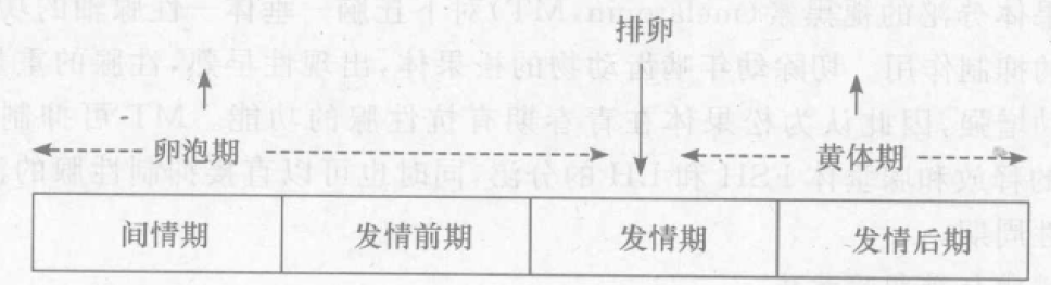 蜜桃成品人视频入口