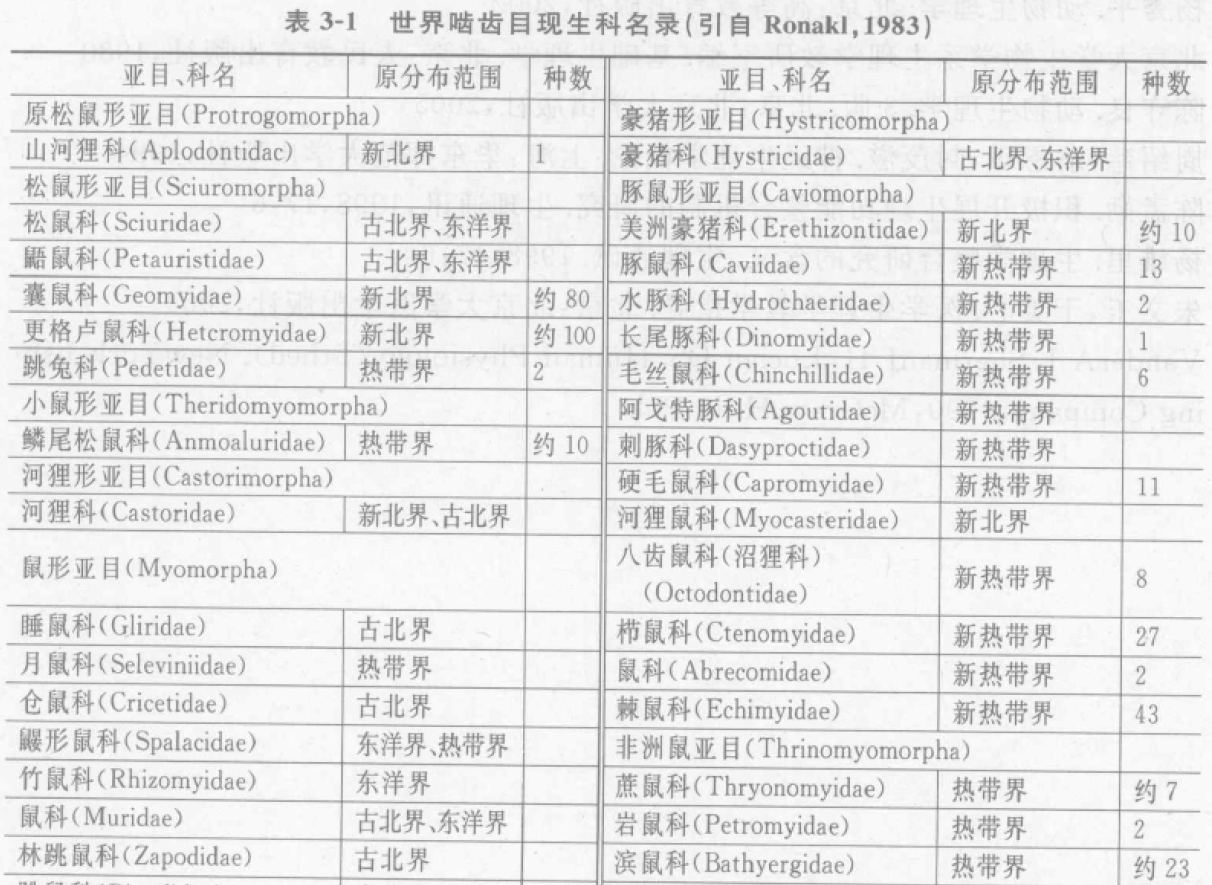 蜜桃成品人视频入口