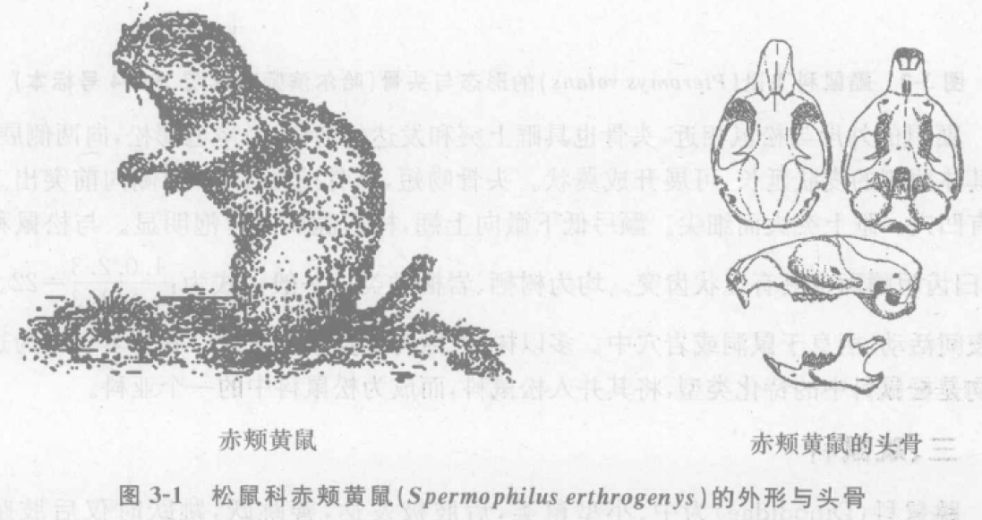 蜜桃成品人视频入口