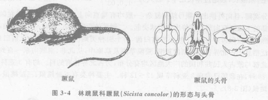 蜜桃成品人视频入口