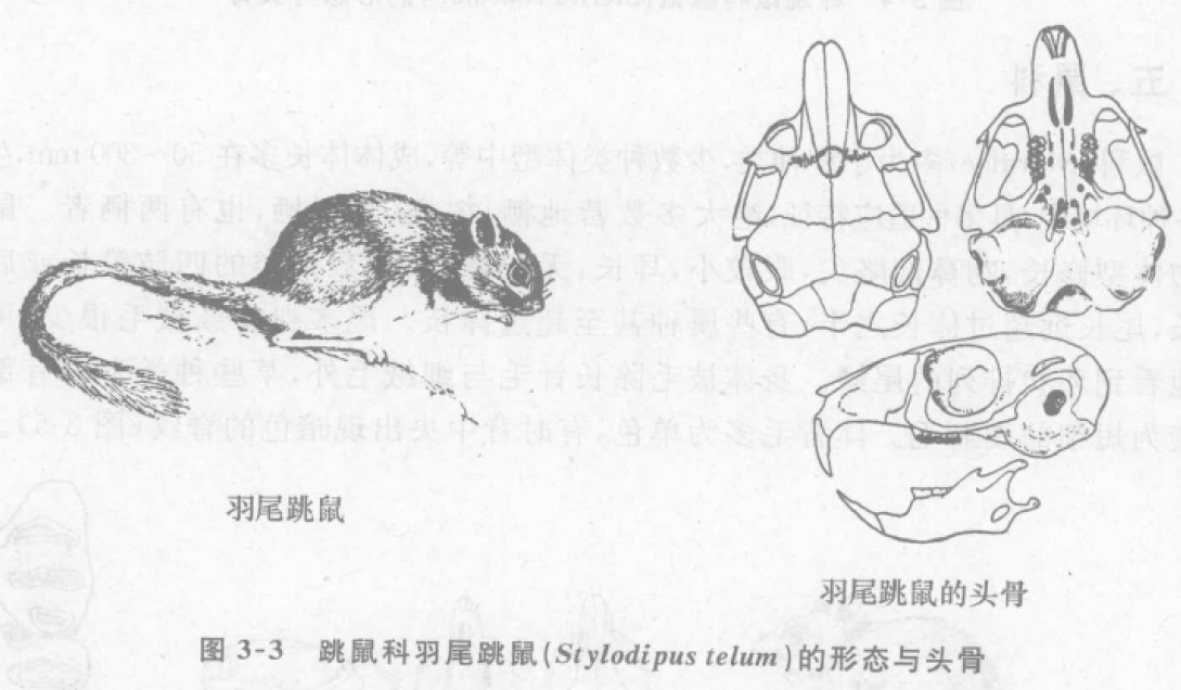 蜜桃成品人视频入口
