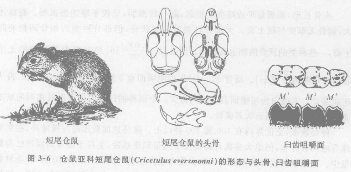 蜜桃成品人视频入口