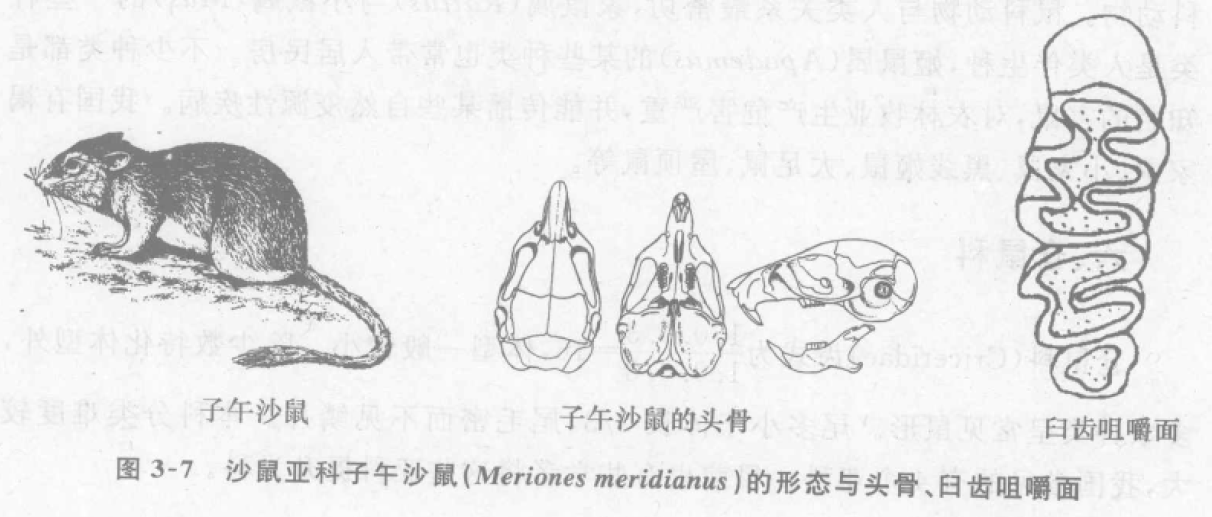 蜜桃成品人视频入口