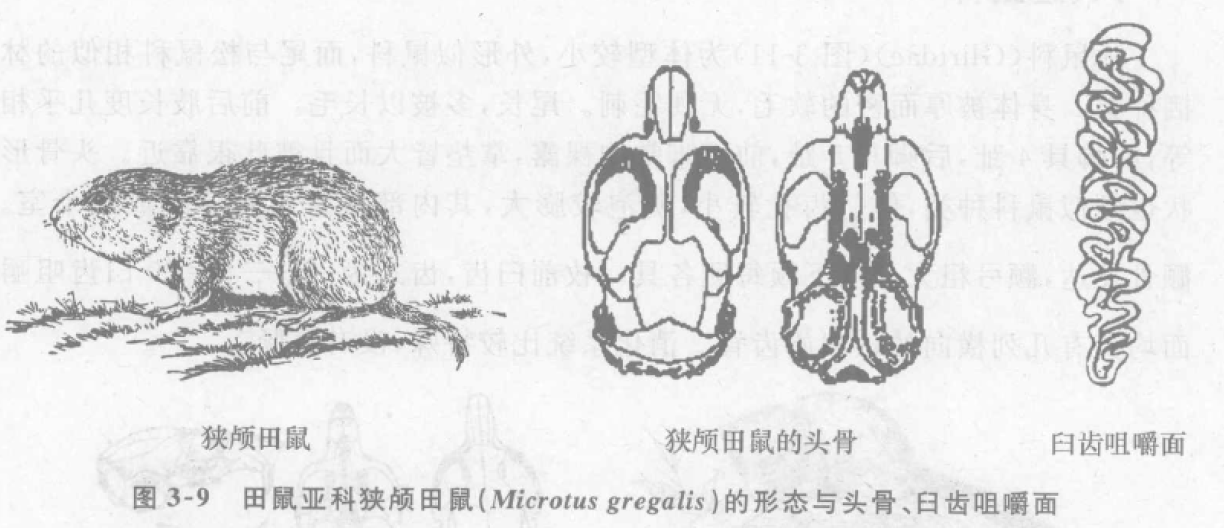 蜜桃成品人视频入口