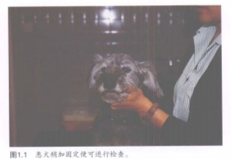 蜜桃成品人视频入口