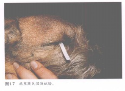 蜜桃成品人视频入口