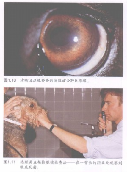 蜜桃成品人视频入口