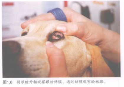 蜜桃成品人视频入口