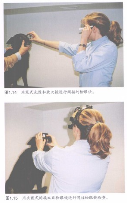 蜜桃成品人视频入口