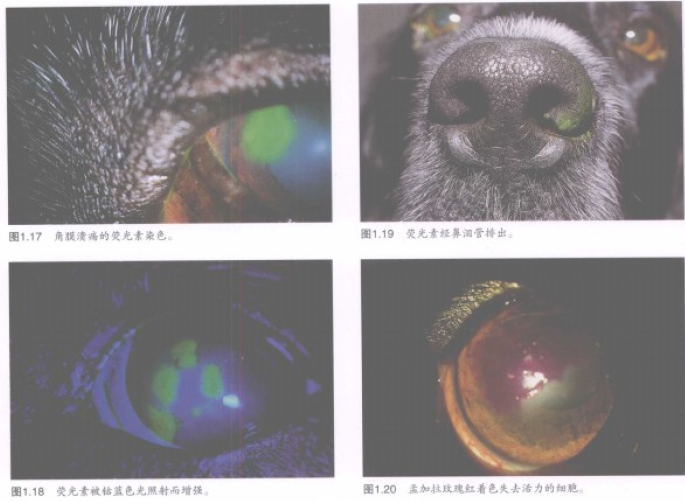 蜜桃成品人视频入口