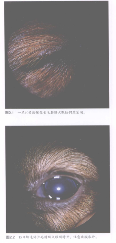 蜜桃成品人视频入口