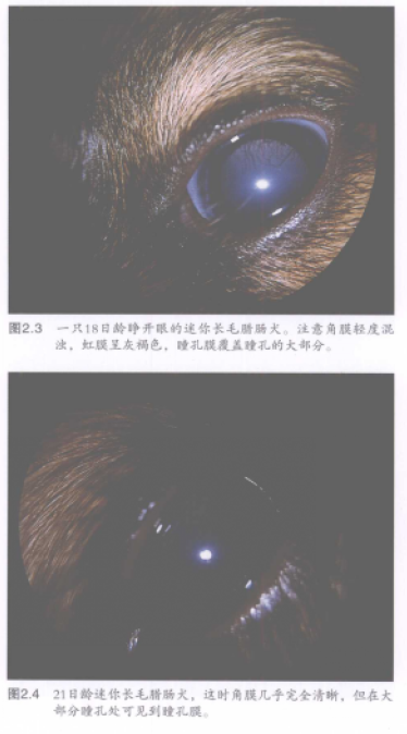 蜜桃成品人视频入口