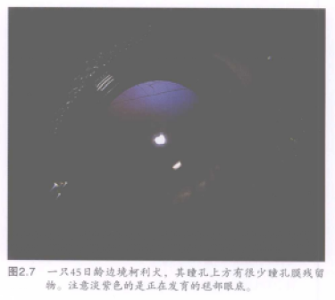 蜜桃成品人视频入口