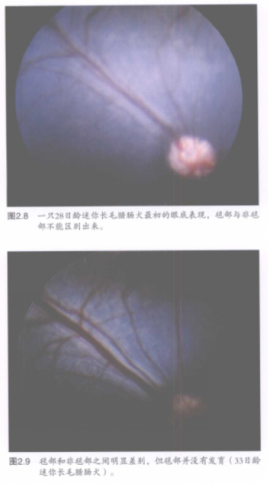 蜜桃成品人视频入口