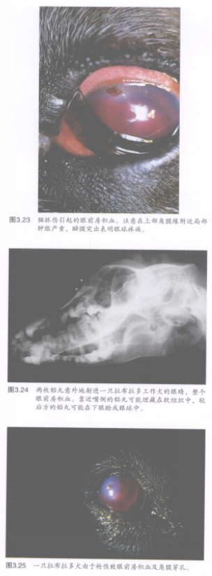 蜜桃成品人视频入口