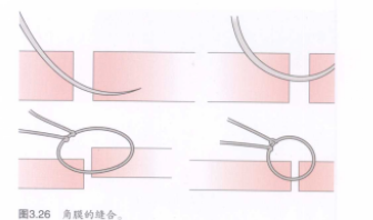 蜜桃成品人视频入口