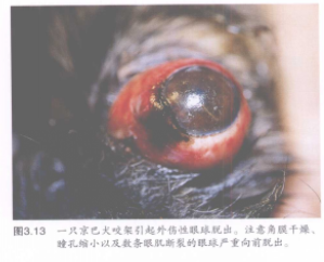 蜜桃成品人视频入口