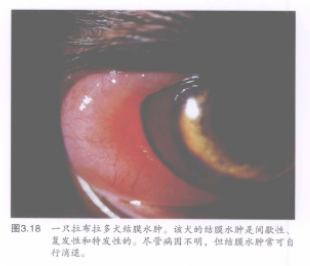 蜜桃成品人视频入口