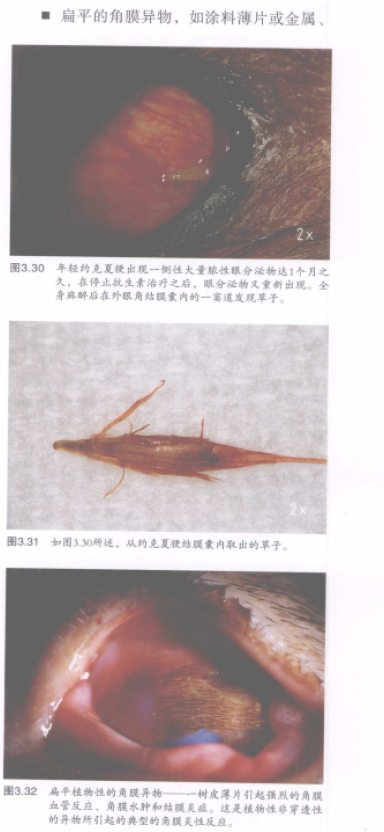 蜜桃成品人视频入口