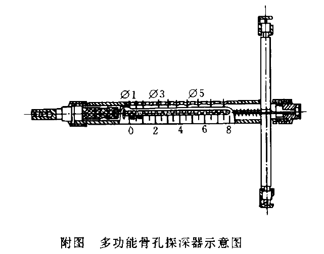 蜜桃成品人视频入口