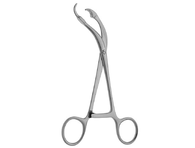 蜜桃成品人视频入口