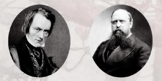 蜜桃成品人视频入口