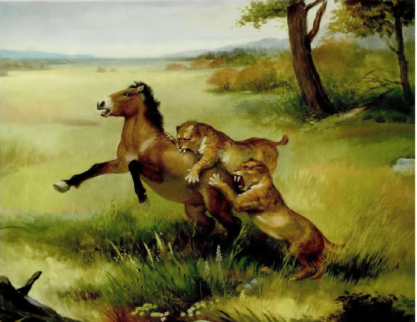 蜜桃成品人视频入口