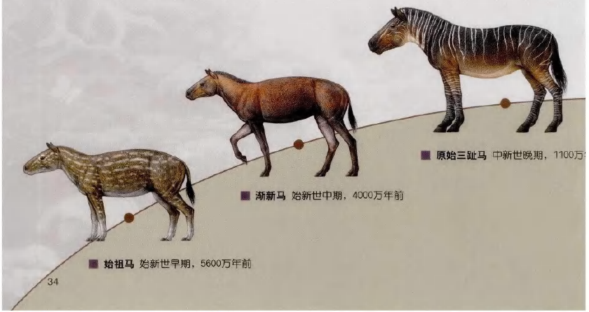 蜜桃成品人视频入口