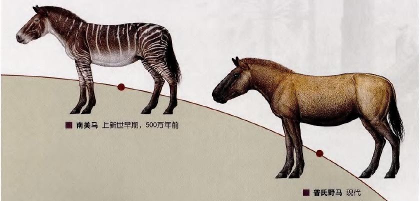 蜜桃成品人视频入口