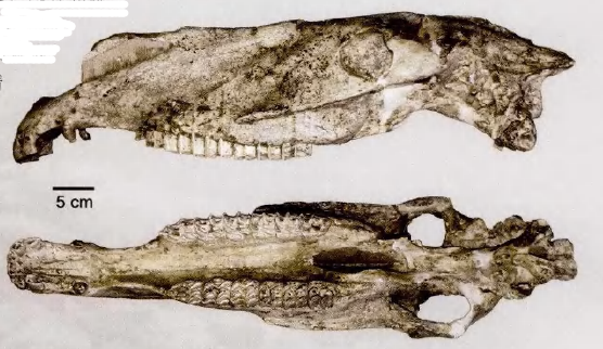 蜜桃成品人视频入口