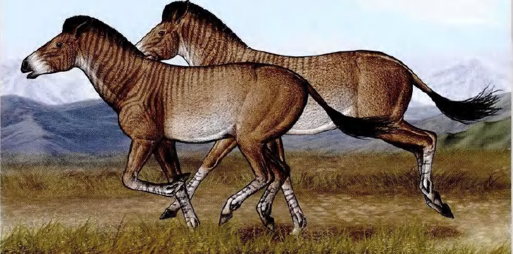 蜜桃成品人视频入口