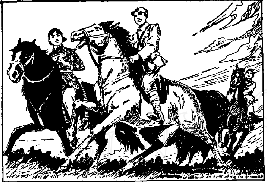 马的进化图一 蜜桃成品人视频入口